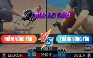 Trận 39 CPC3 Ngày 02/06/2025
