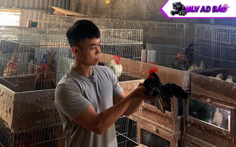 Các yếu tố ảnh hưởng đến thời gian trưởng thành Các yếu tố ảnh hưởng đến thời gian trưởng thành