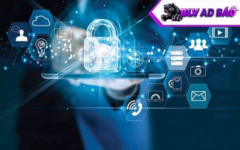 Những thông tin BLV Ad Báo thu thập Những thông tin BLV Ad Báo thu thập