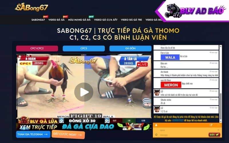 Sabong67 - Trang chuyên đá gà trực tiếp Thomo có bình luận viên Sabong67 - Trang chuyên đá gà trực tiếp Thomo có bình luận viên