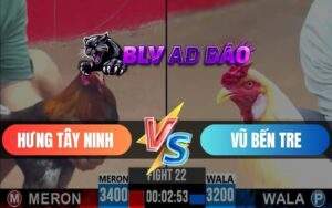 Trận 22 CPC3 Ngày 01/06/2025