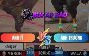 Trận 27 CPC3 Ngày 30/05/2025