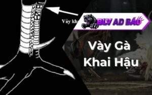 Vảy Gà Khai Hậu