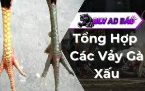 Vảy Gà Xấu