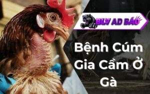 Bệnh Cúm Gia Cầm