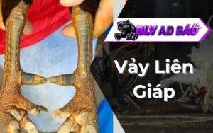 Vảy liên giáp