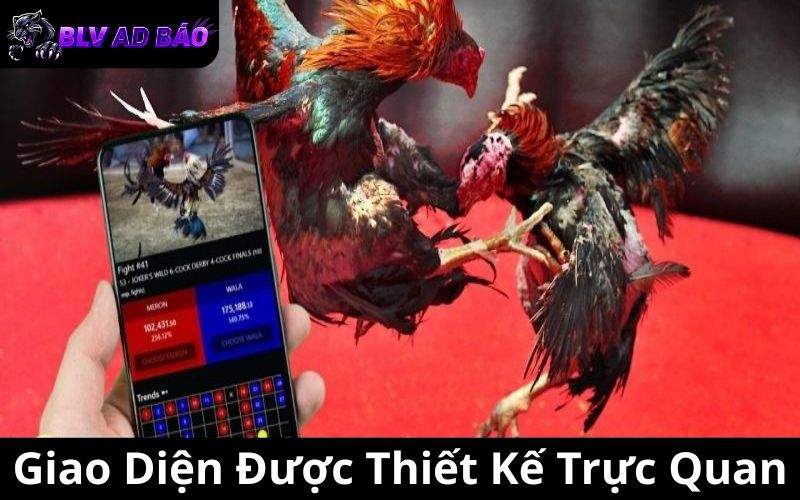 Giao diện được thiết kế tiện lợi và phù hợp trên mọi ứng dụng người chơi